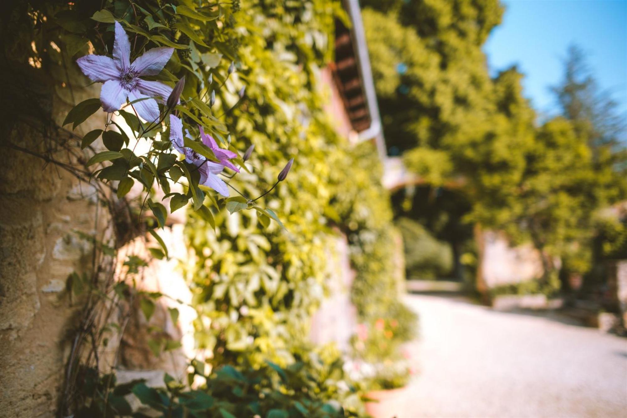 Domaine De Cournet Haut, A 17Th Century Property Set On A Calm, Idyllic Domain With Pool, Tennis, Bikes And More Les Vauries Extérieur photo
