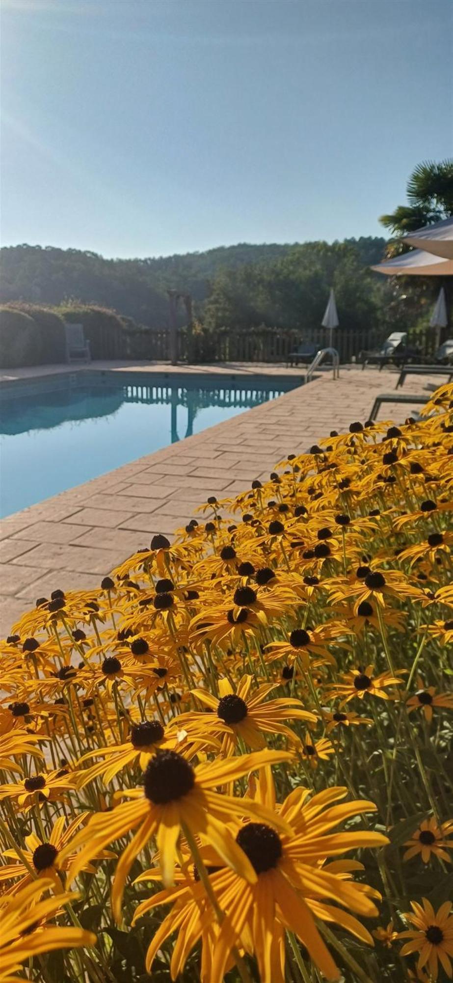 Domaine De Cournet Haut, A 17Th Century Property Set On A Calm, Idyllic Domain With Pool, Tennis, Bikes And More Les Vauries Extérieur photo